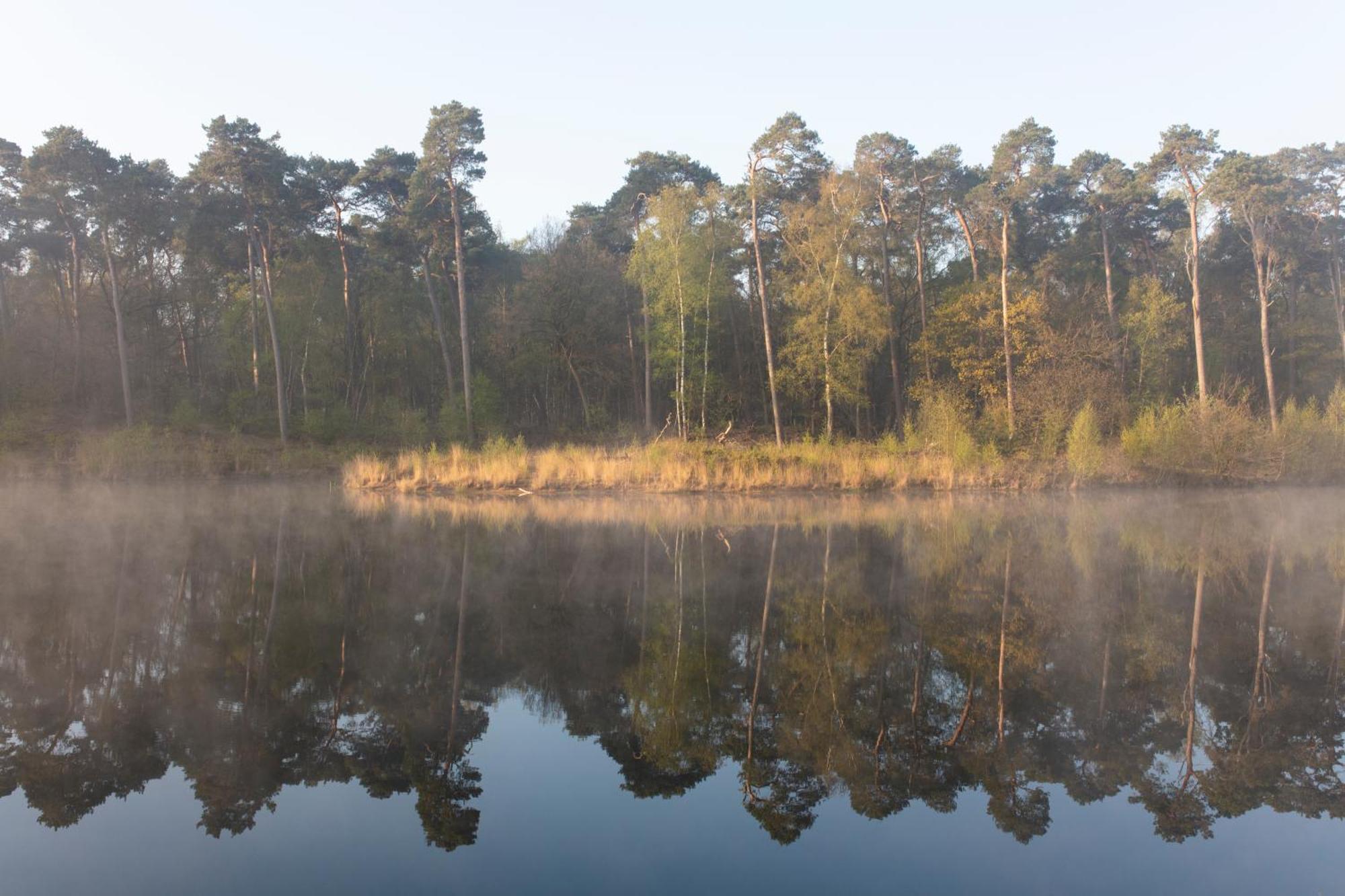 Hotel Bent Oisterwijk Bagian luar foto